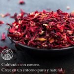 infusión flor de jamaica natural